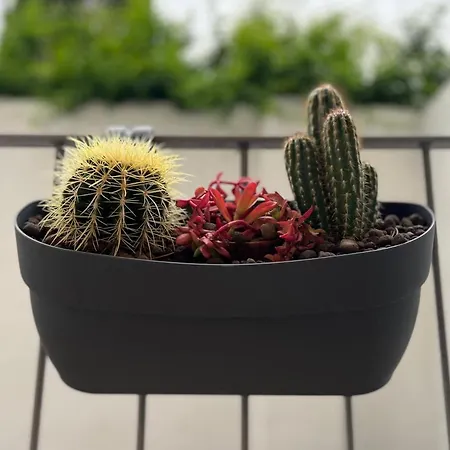 Διαμέρισμα Luxury 11